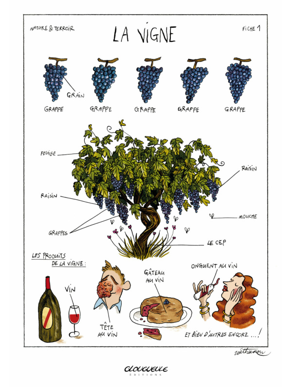 Affiche La Vigne par Zoé Thouron